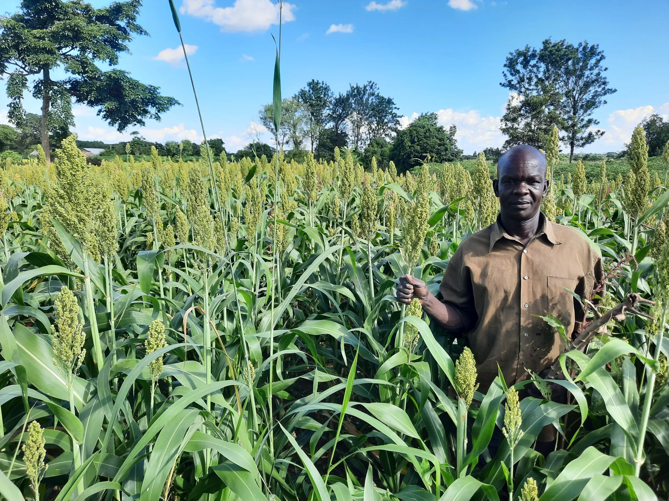 insight-from-farmer-2