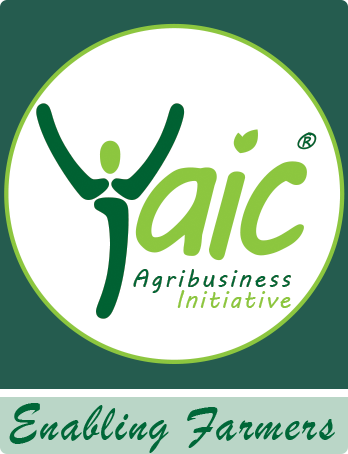 Yaic Agribusiness Initiative 